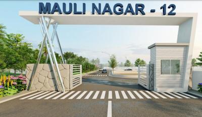 Nagar 12