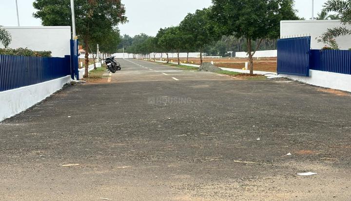 Gallery Cover Pic of Daisy Garden