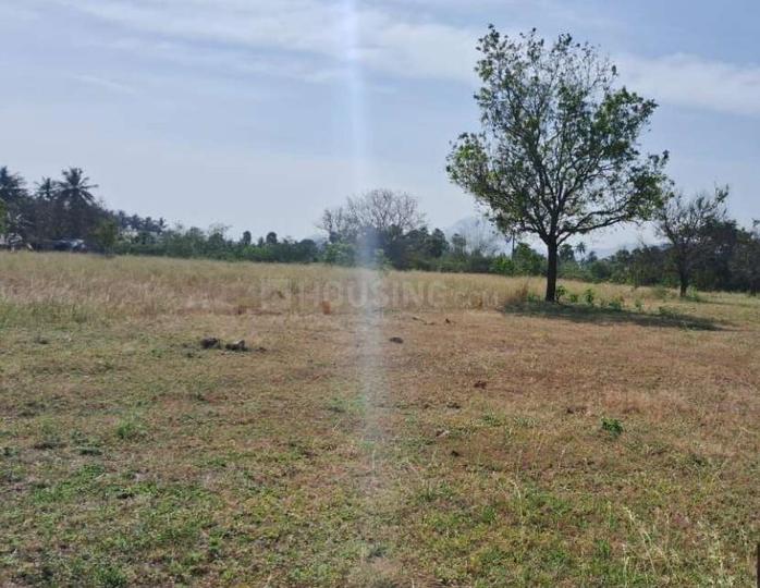 Gallery Cover Pic of Biancca Smart Village Phase II