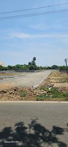 Staar Elite NL Avenue phase 1