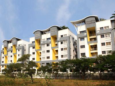 Gallery Cover Pic of Nivee South Park