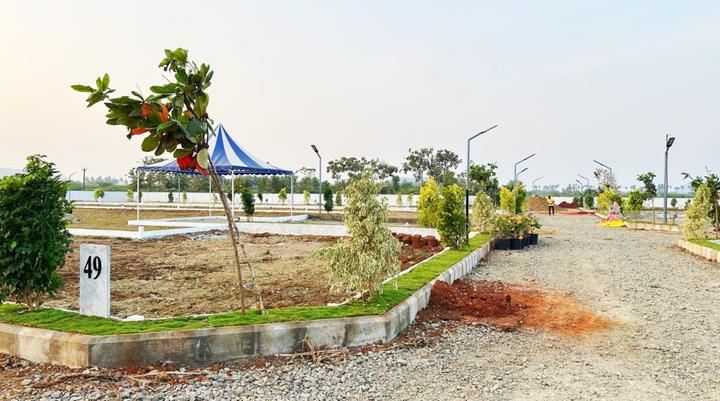 Gallery Cover Pic of NRI Netra Orchard Phase 1