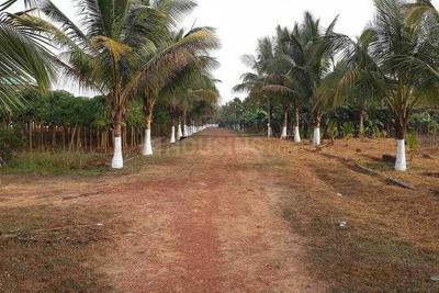 Project Image of 505 Sq.ft 1 BHK Independent House for sale in Ghadewadi for Rs. 6000000