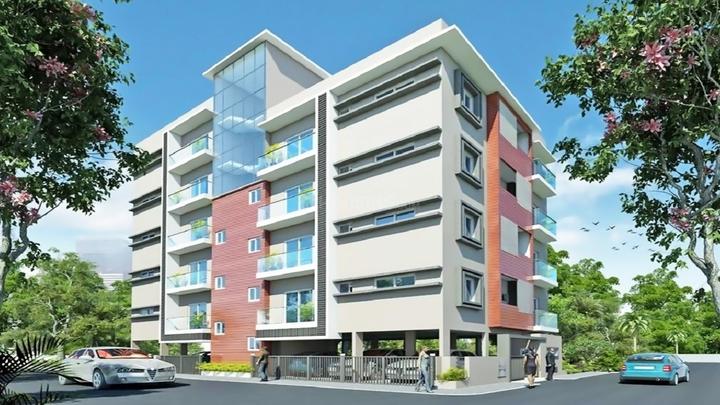 Gallery Cover Pic of Scala Entice