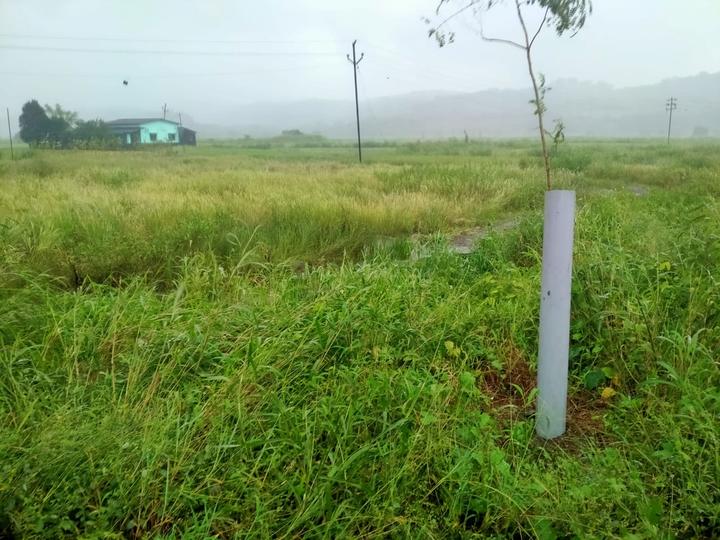 Gallery Cover Pic of Towncity Plots In Punade