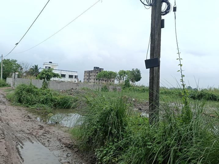 Gallery Cover Pic of Suchandra Green City Society