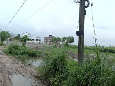 Suchandra Green City Society