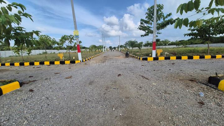 Gallery Cover Pic of Alankritha Avenue