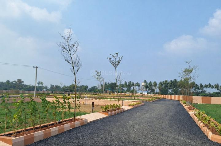 Gallery Cover Pic of VR Treasure