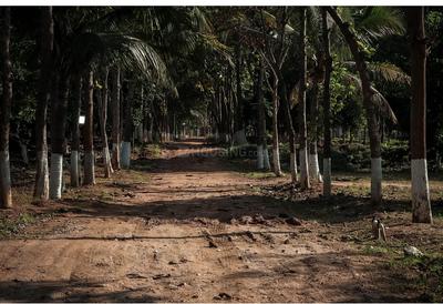 Residential Lands for Sale in Arinaa Country Farms