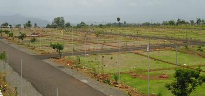 CHD Plotted Colony