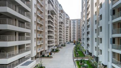 Emami City