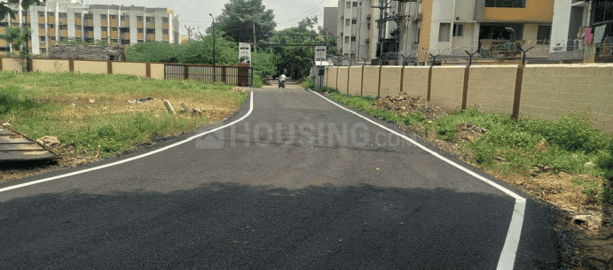 Gallery Cover Pic of Nova Element