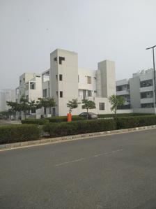 Vatika Aster Acacia Laurus Floors