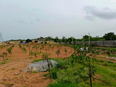 Project Image of 2700 Sq.ft Residential Plot / Land for sale in Kandukur for Rs. 9600000