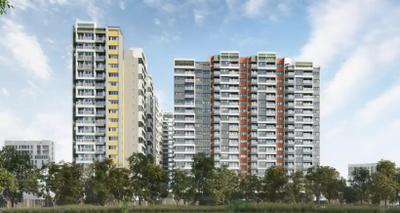 TVS Emerald Avalon Project Images