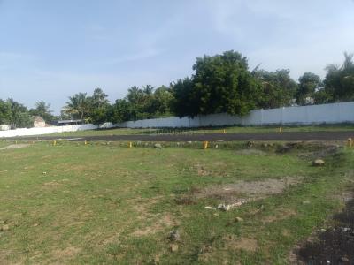 Residential Lands for Sale in Sudesi M A M Nagar