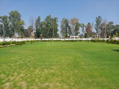 Project Image of 1250 Sq.ft Residential Plot / Land for sale in Rampur for Rs. 5600000