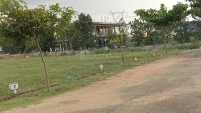 Software Oakdale Greens P1