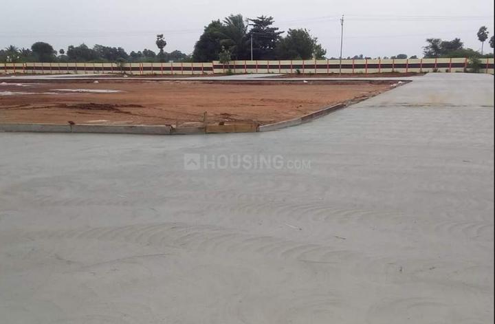 Gallery Cover Pic of Shalom City