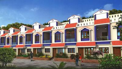 Aashish Rajni Ashish Rose Phase II Project Images