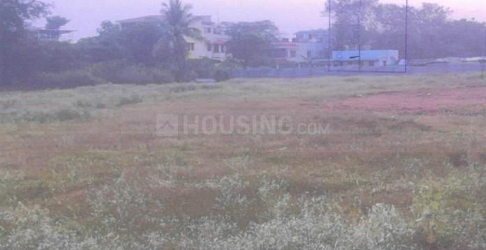 Gallery Cover Pic of Woodland