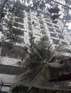 Gallery Cover Pic of Surya Landmark DN Nagar Panchavati CHSL Gokul Panchavati