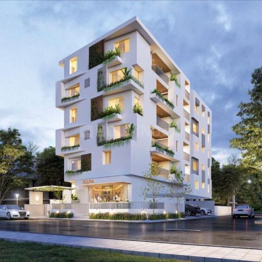 Gallery Cover Pic of Scape Esquina