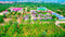Gallery Cover Pic of Sreeja Farm Land