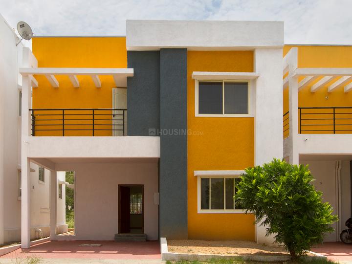 Gallery Cover Pic of Celebrity Grandeur