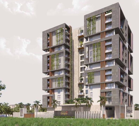 Magnolia Delight Main Image 1