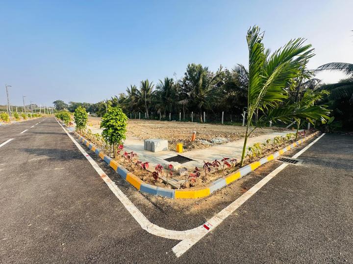 Gallery Cover Pic of Nidhi Paligha Devanagari