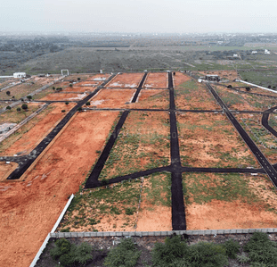 Gallery Cover Pic of Pitchammal Nagar North