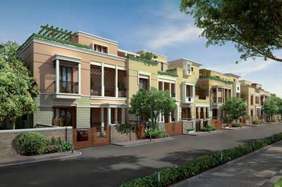 Luxora Park House Holistic