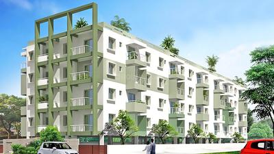 Man Aspen Gold Project Images