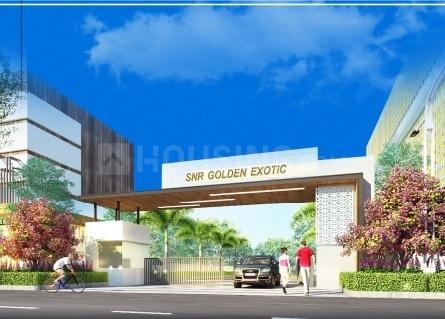 Gallery Cover Pic of Golden Exotica