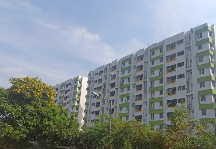 Alameen Milano Orchard More Images 1