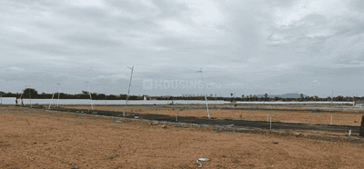 TEA Avenues Project Images