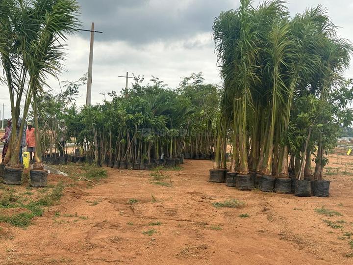 Gallery Cover Pic of Markup Sai Brindavan