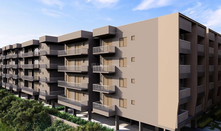 Gallery Cover Pic of Nava Vajra