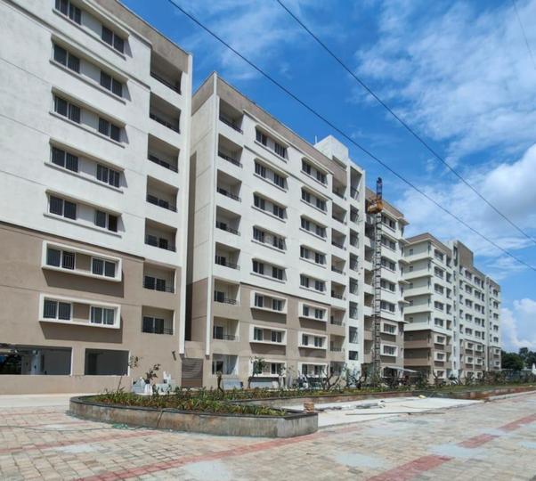 Bollineni Nestor Main Image 1