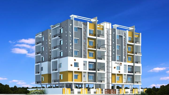 Gallery Cover Pic of Hallmark Maple Tree