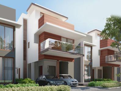 Gallery Cover Pic of Jindal Ivy