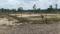 Sarthi Homes Elevation 1