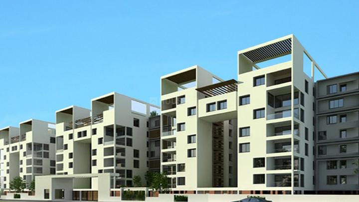 TVH Taus More Images 1