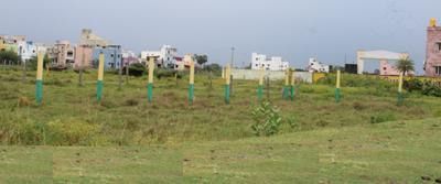 Evvi Park Project Images