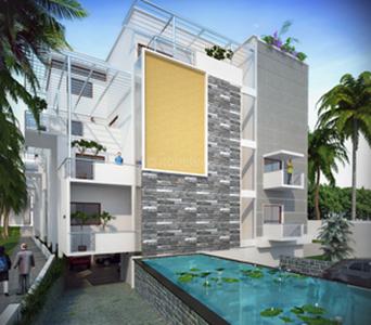 Gallery Cover Pic of Linea Sunflower