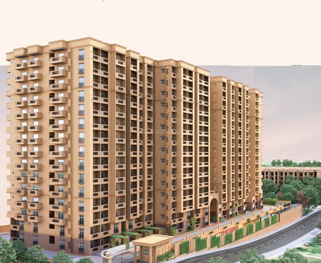 Gallery Cover Pic of DS Sky Blossom