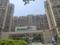 Gallery Cover Pic of Saviour Greenarch