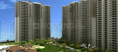 AVJ Info City Project Images